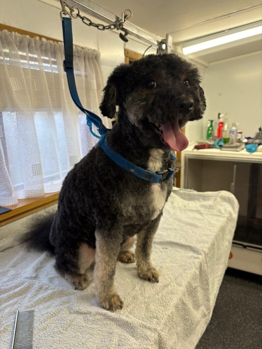 024df294-15ee-423f-b39f-716b1e9ccb1d