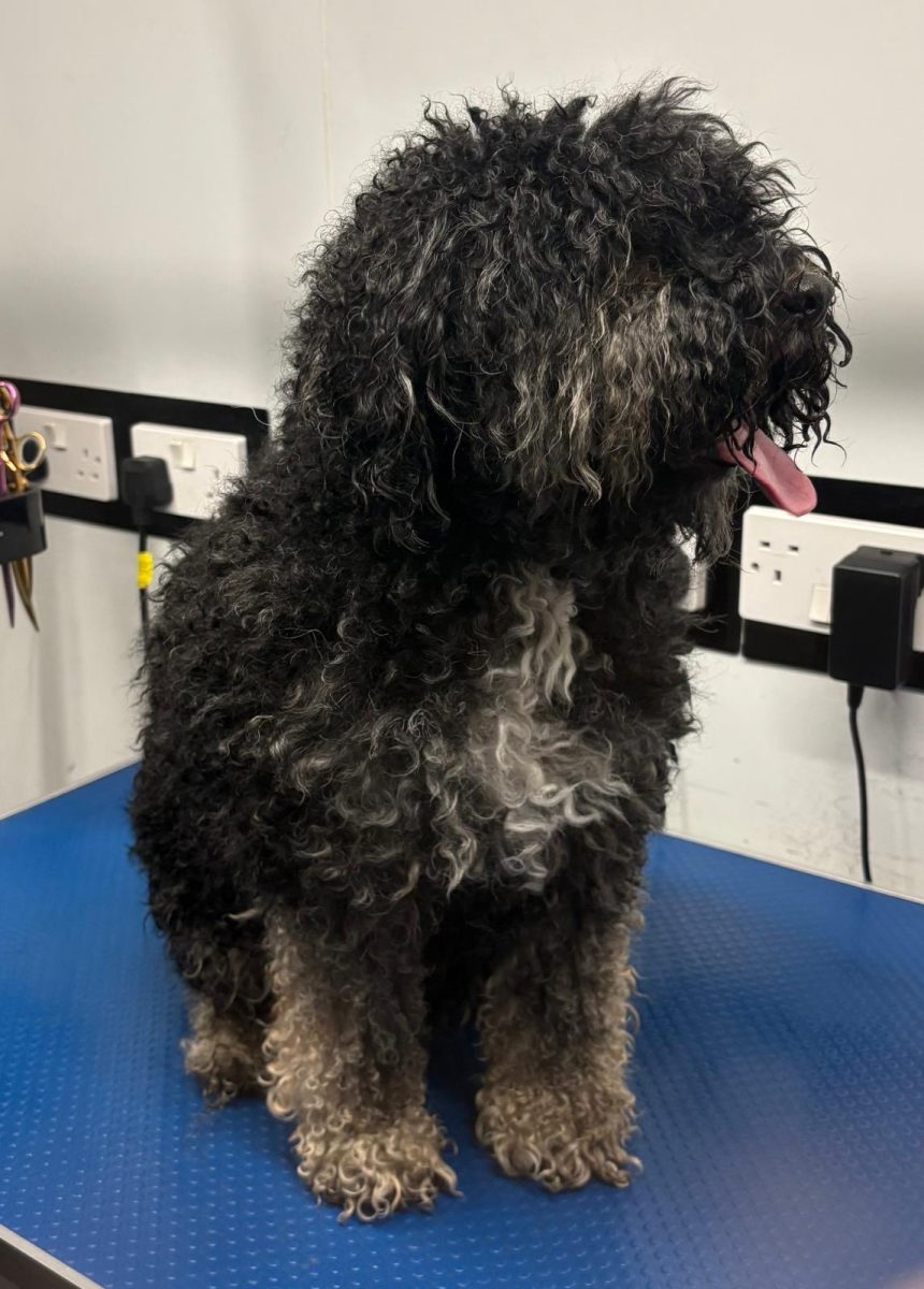 6d7459cb-63ce-4a31-9486-bbe595818681